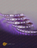 ریسه smd لوپ لایت 2835 تراکم 120 با تکنولوژی بدون سیم