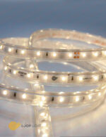 ریسه لوپ لایت 2835 تراکم 60 بدون سیم