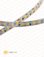 ریسه ال ای دی نواری 24 ولت با تراکم 120 لوپ لایت