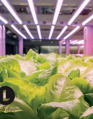 ریسه رشد گیاه تراکم 120 رنگ نور 2500K گرین لاین لوپ لایت