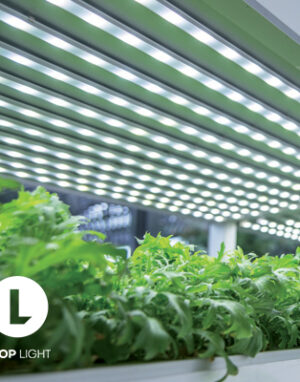 ریسه رشد گیاه تراکم 120 رنگ نور 4000K گرین لاین لوپ لایت